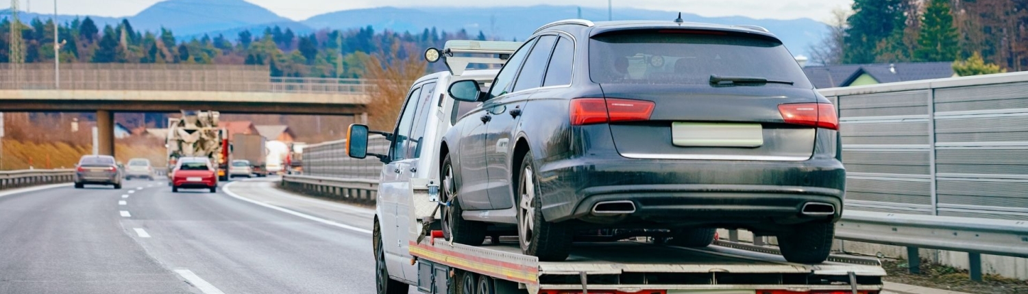 Hizmetlerimiz Hizmetlerimiz